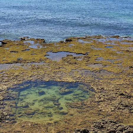 オシアナス アパートホテル 4*